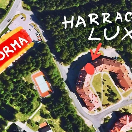 Lux * Harrachov